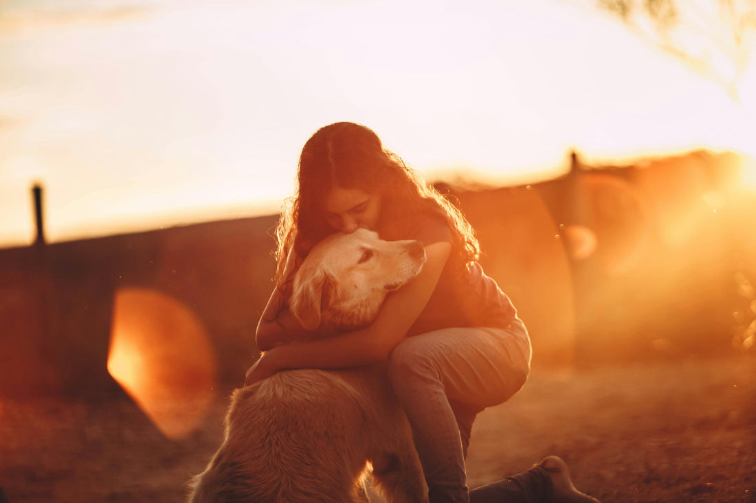 Why Dogs Need Mental Stimulation Daily