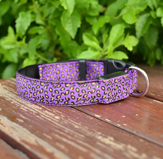Adjustable LED Dog Collar – Visibility and Safety Made Easy