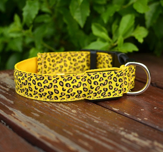 Adjustable LED Dog Collar – Visibility and Safety Made Easy