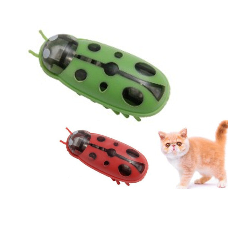 The Mini Electric Ladybug Cat Toy Cats Can’t Stop Chasing