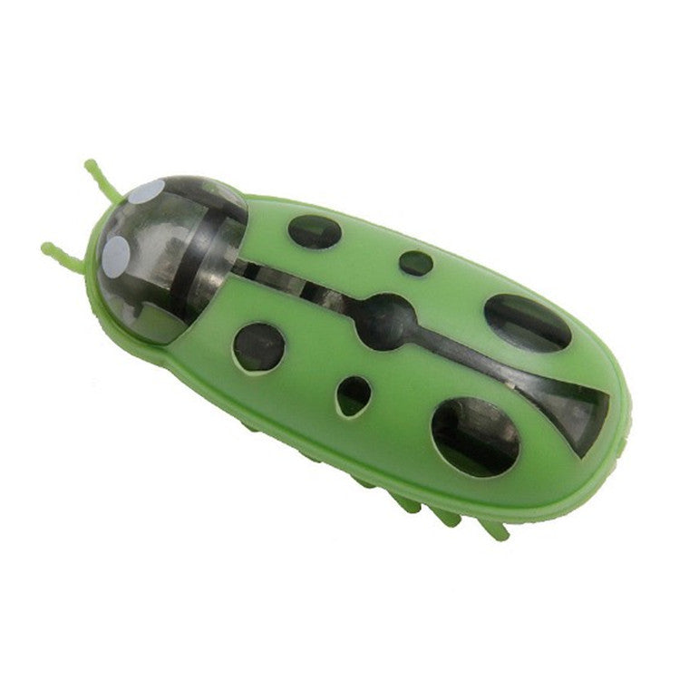 The Mini Electric Ladybug Cat Toy Cats Can’t Stop Chasing