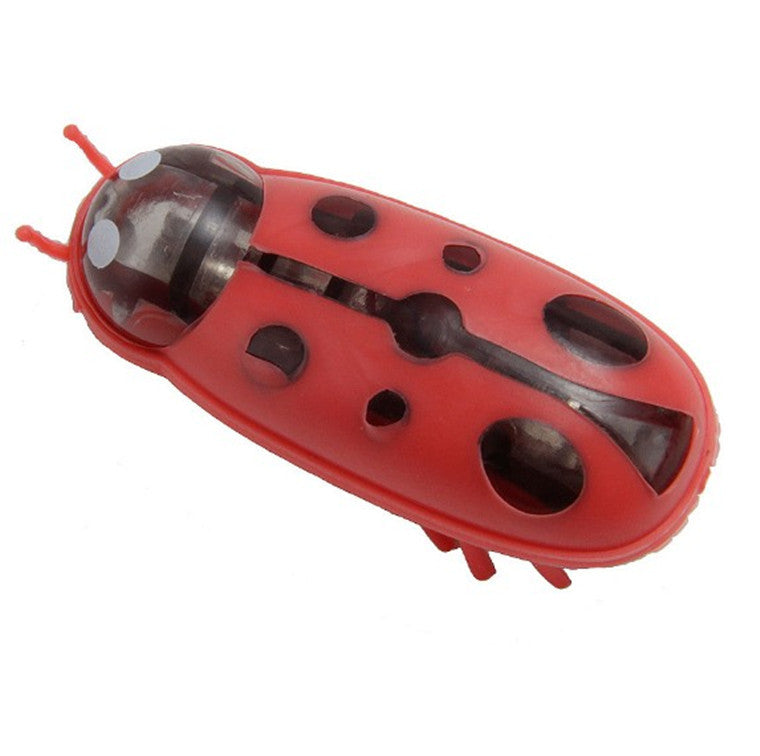 The Mini Electric Ladybug Cat Toy Cats Can’t Stop Chasing