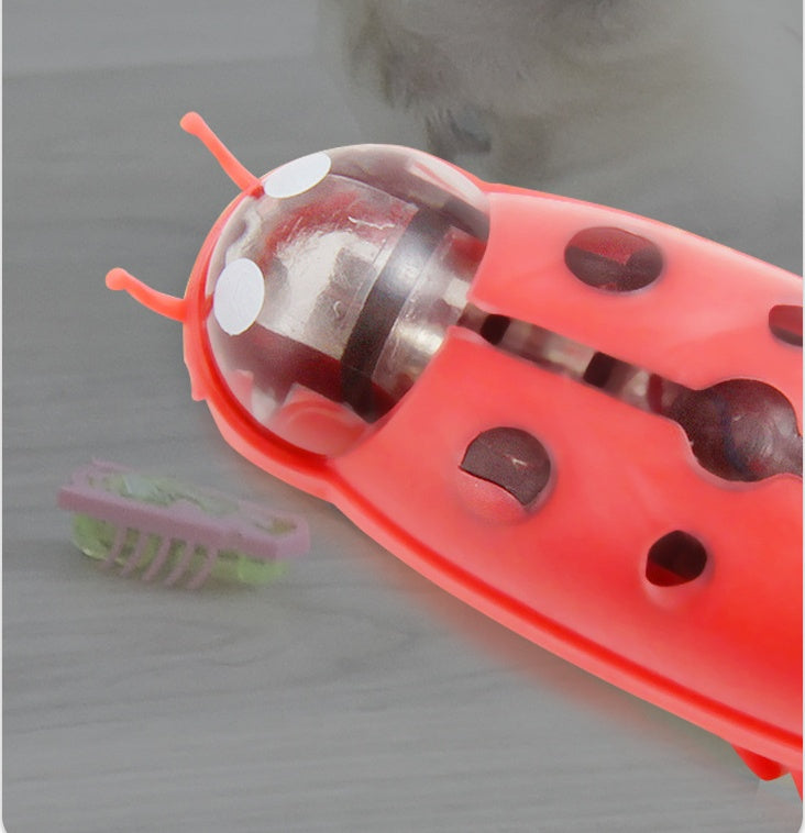 The Mini Electric Ladybug Cat Toy Cats Can’t Stop Chasing