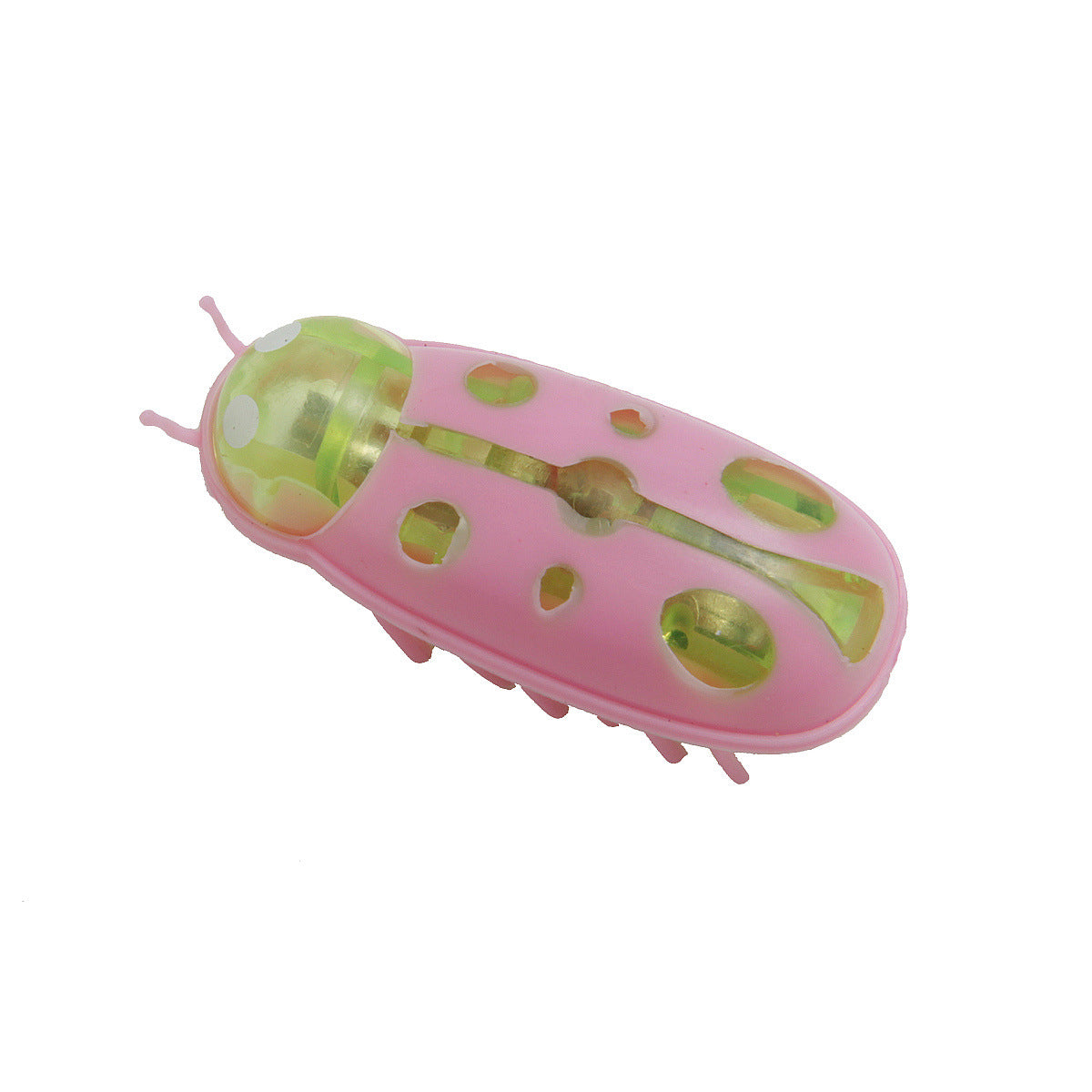 The Mini Electric Ladybug Cat Toy Cats Can’t Stop Chasing