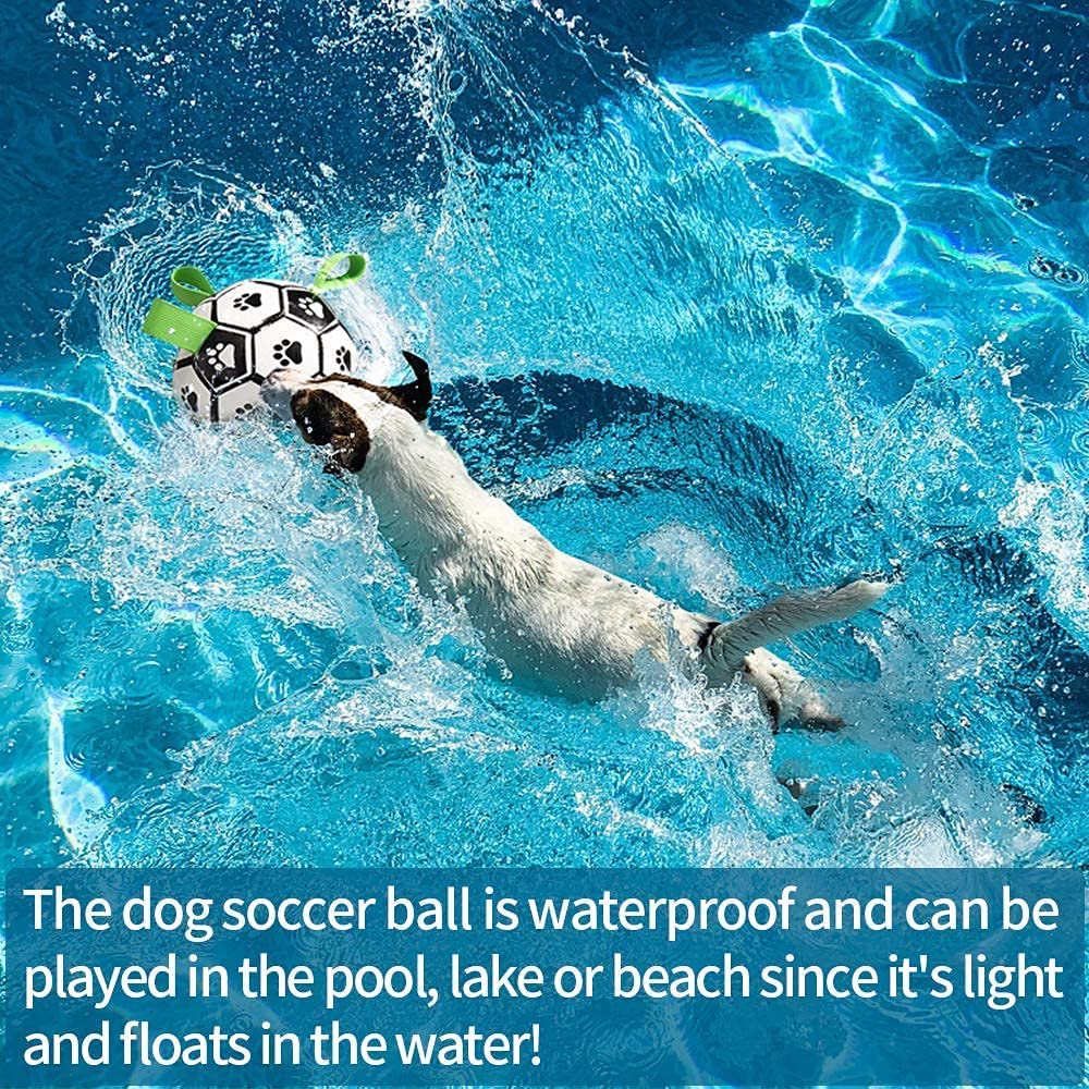 Interactive Dog Soccer Ball Toy for Active Outdoor Play