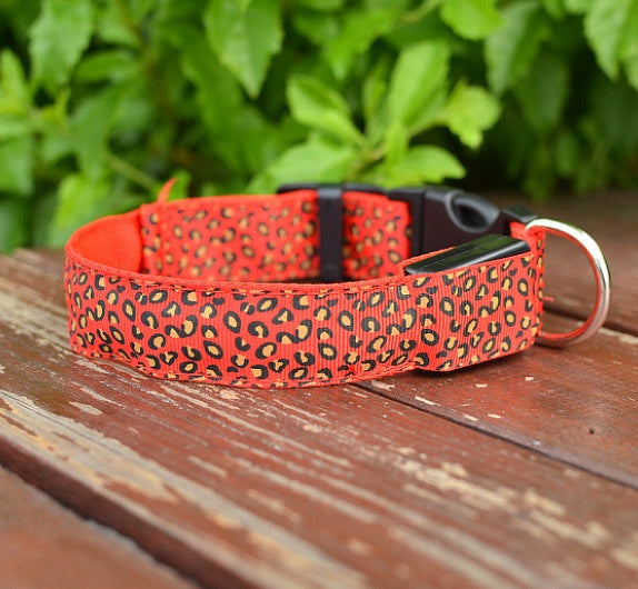 Adjustable LED Dog Collar – Visibility and Safety Made Easy