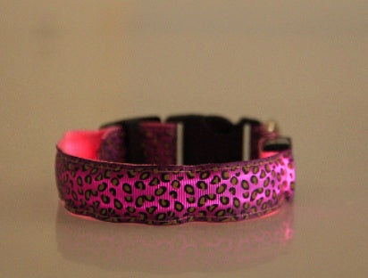 Adjustable LED Dog Collar – Visibility and Safety Made Easy