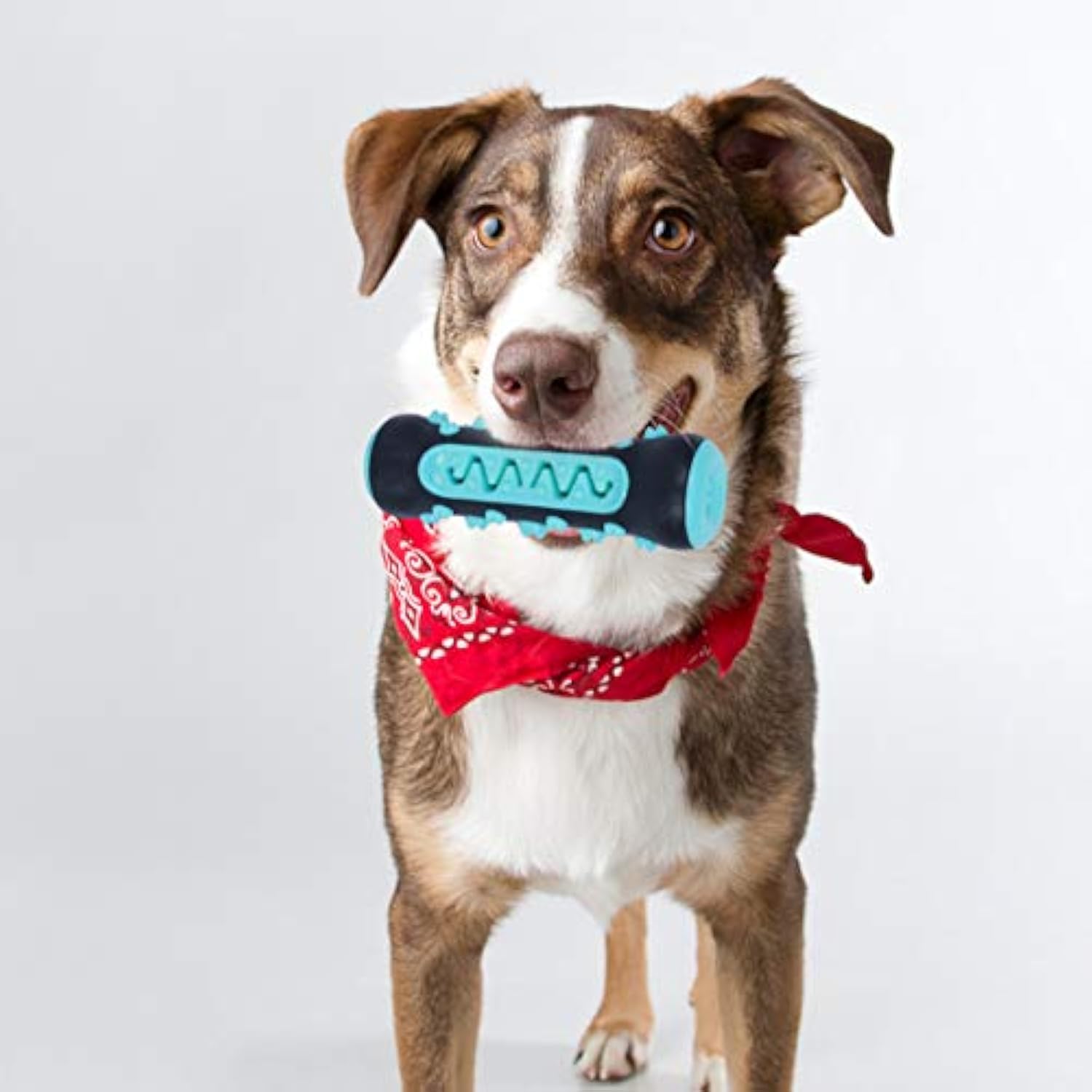 Puppy Teether Toy – Fun Way to Clean Teeth