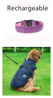 Adjustable LED Dog Collar – Visibility and Safety Made Easy