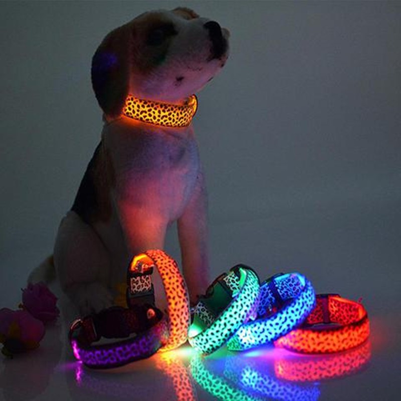 Adjustable LED Dog Collar – Visibility and Safety Made Easy