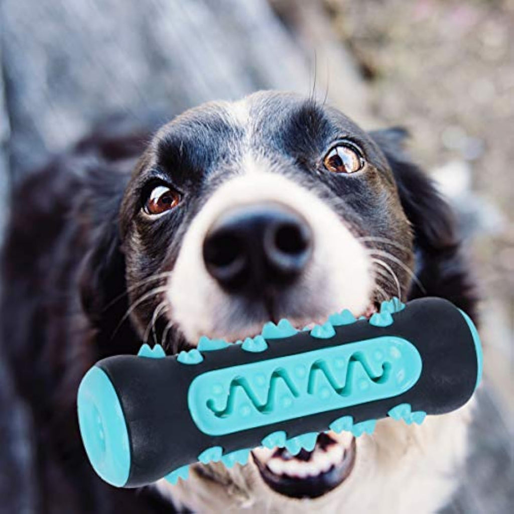Puppy Teether Toy – Fun Way to Clean Teeth