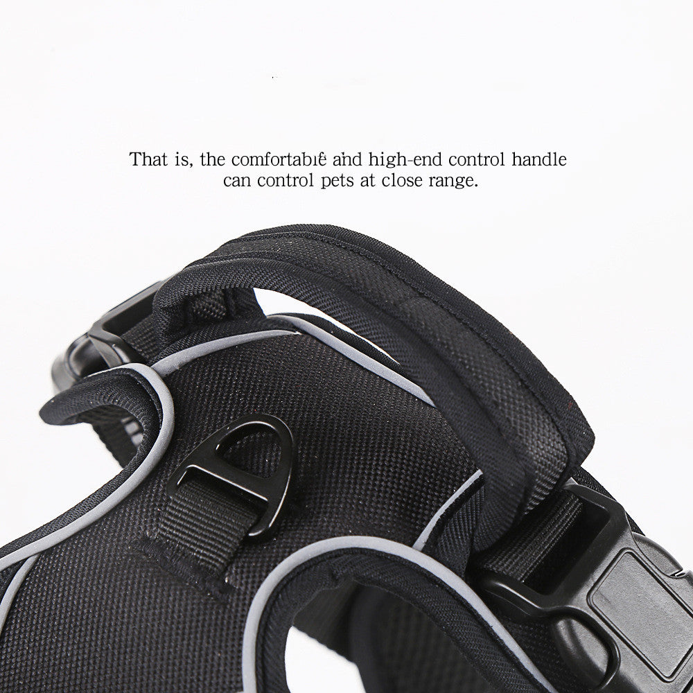 No-Pull Dog Harness – Comfortable, Safe Walks Every Day