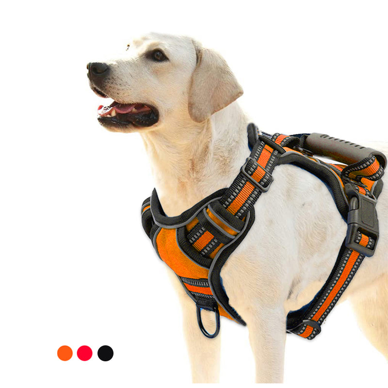 No-Pull Dog Harness – Comfortable, Safe Walks Every Day
